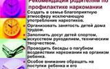 Без названия (3)